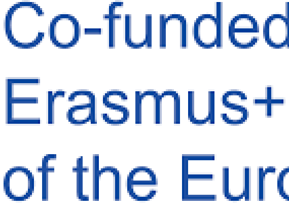 Europos Komisijos finansuojamas 