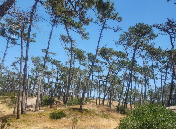 ĮGYTI NAUJI PRAKTINIAI ĮGŪDŽIAI PO STAŽUOTĖS IR DARBO STEBĖJIMO VIZITO PORTUGALIJOJE13